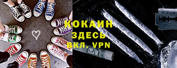 твердый Анива