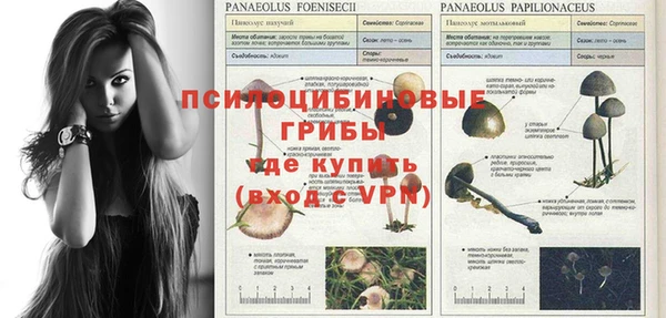мдпв Балабаново