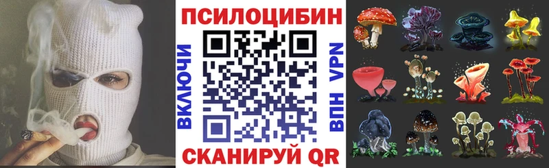 Псилоцибиновые грибы Cubensis  купить наркотик  мориарти формула  Бобров 